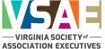 vsae vsae